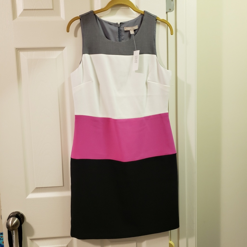 NWT Pink/Gray/Black/White Colorblock Dress, 4